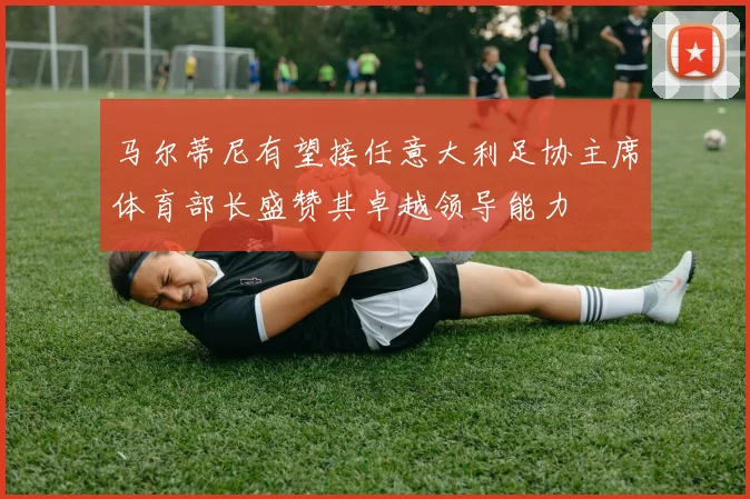 马尔蒂尼有望接任意大利足协主席体育部长盛赞其卓越领导能力